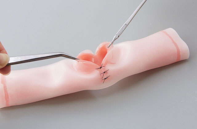 Intestinal suture model