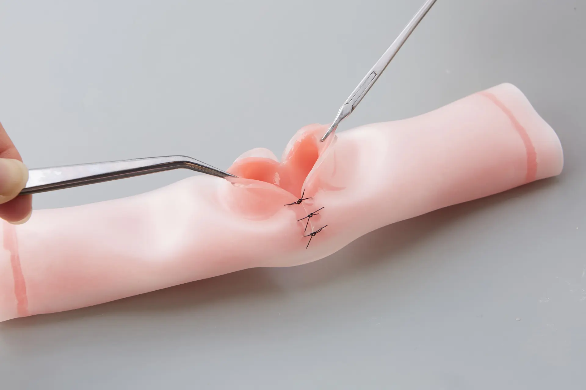 Two-layered intestinal suture model