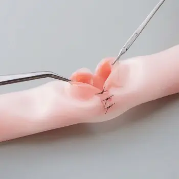Two-layered intestinal suture model