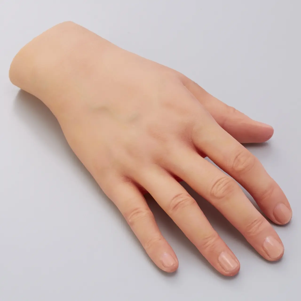 Dermal model of the back of the hand