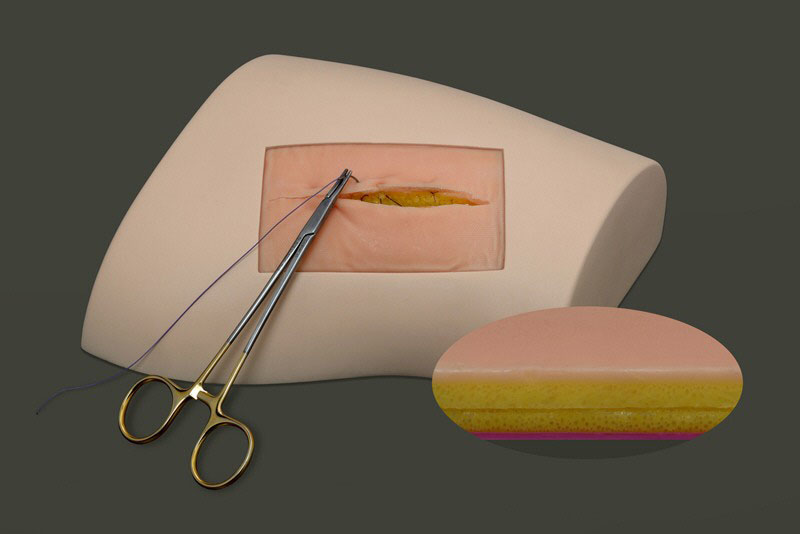 Multi-layered skin model for suture practice