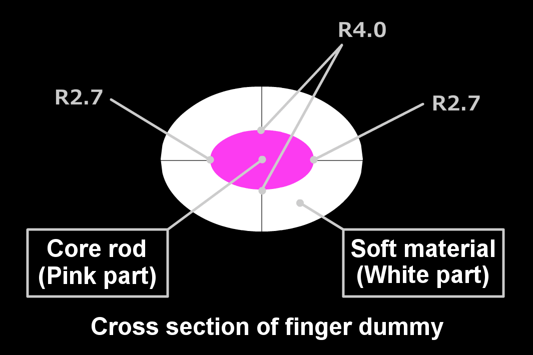 Cross section of finger dummy